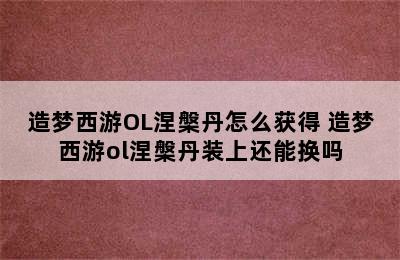 造梦西游OL涅槃丹怎么获得 造梦西游ol涅槃丹装上还能换吗